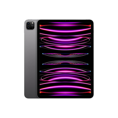 Apple iPad Pro 11 2022 (CELLULAR+WIFI)